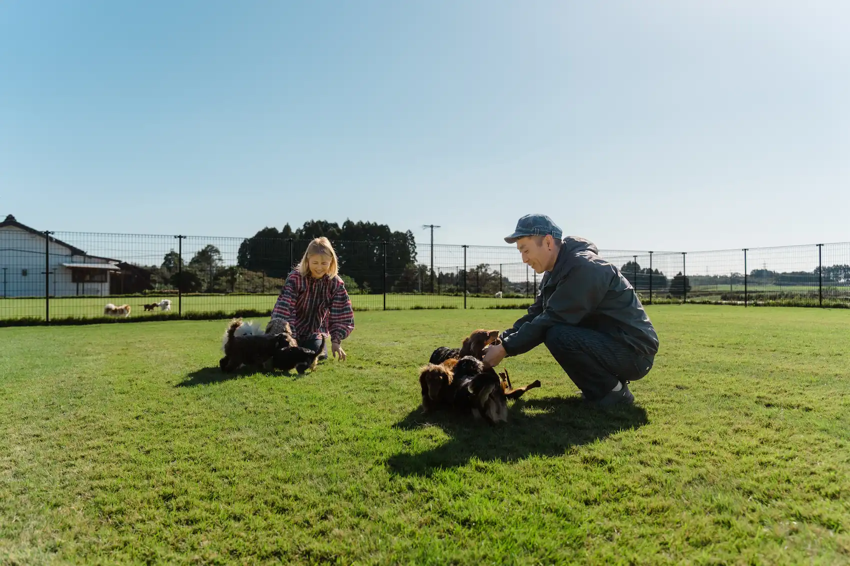 宮崎のブリーダー nook犬舎の子犬 - 健康で元気な小型犬